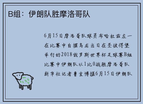 B组：伊朗队胜摩洛哥队